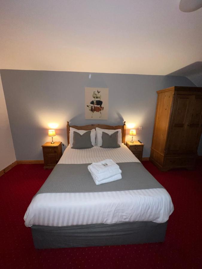 Dingle Marina Lodge Exteriér fotografie